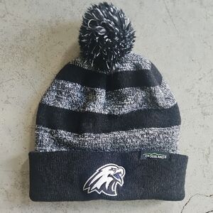 Crossland Alice Lloyd Eagles Black and Gray Striped Beanie